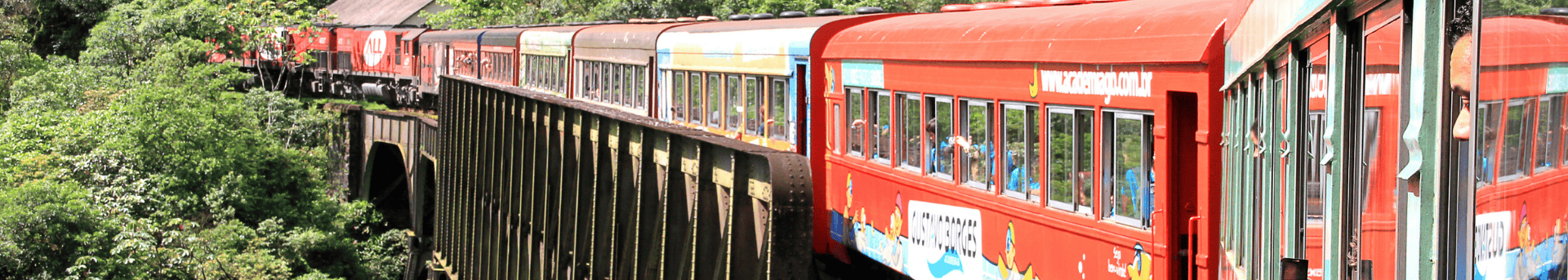 Tarifa Professor, PNE e Doador de Sangue - Conheça as Regras [2026]