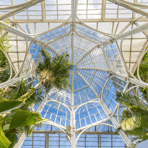 Guia Curitiba: Descubra Curitiba com o Nosso Guia Exclusivo de Turismo Receptivo