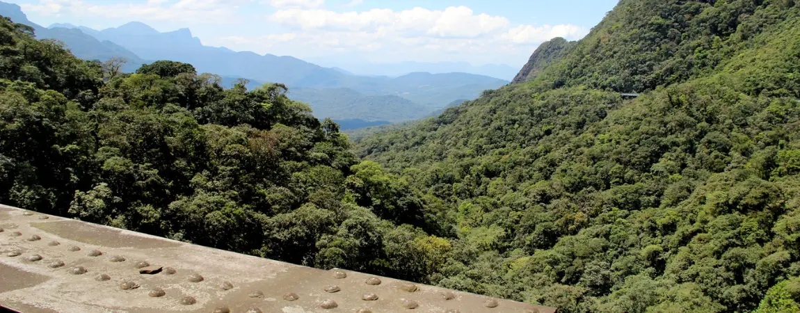 Passeios de Trem - Opções Boutique [2026]