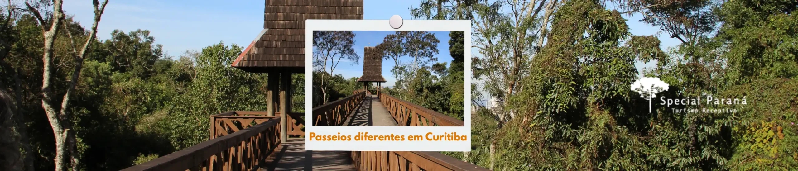 Passeios diferentes em Curitiba: descubra a cidade por um novo ângulo
