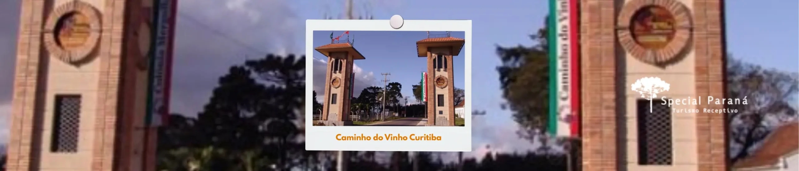 Caminho do Vinho Curitiba: Um Passeio Imperdível pelo Turismo Rural