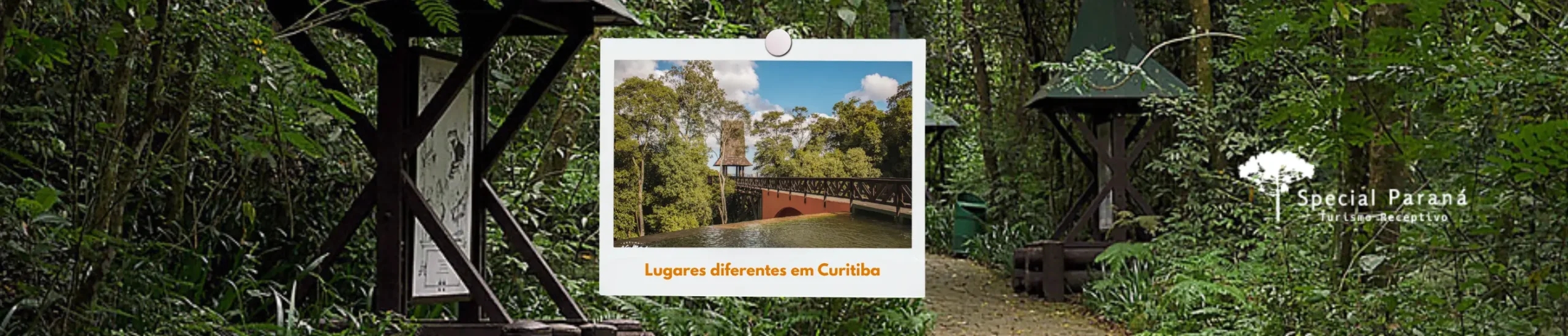 Lugares diferentes em Curitiba: explore o lado alternativo da capital
