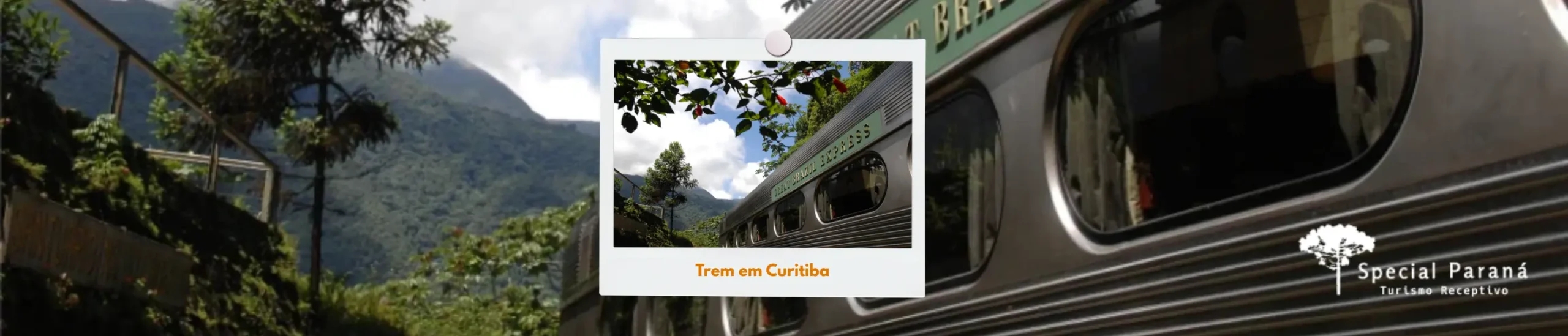 Trem em Curitiba: uma viagem histórica pela Serra do Mar paranaense