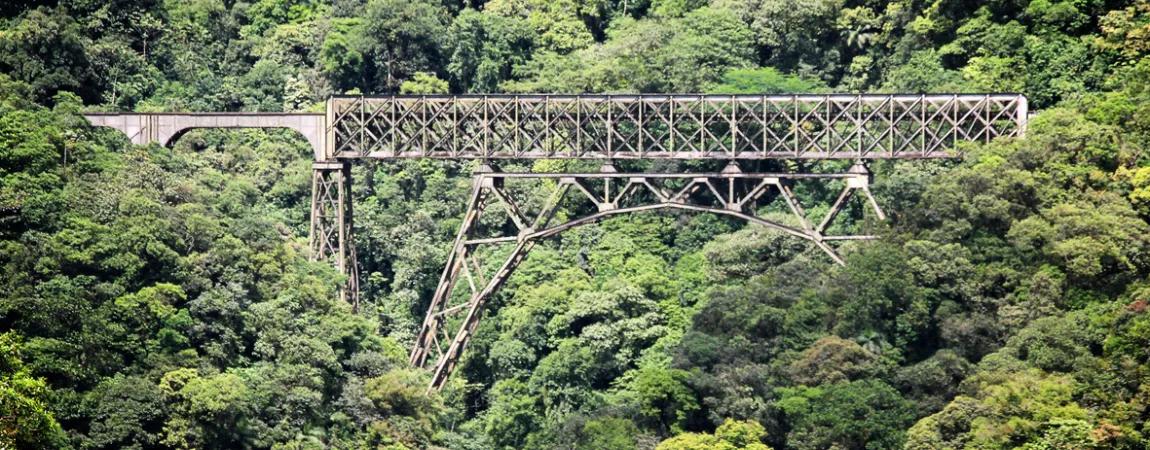 Imagem do post: Categorias do Passeio de Trem para Morretes: Saiba Como são os Vagões [2026]