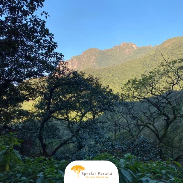 Trem Pôr do Sol Completo Turístico - imagem 2