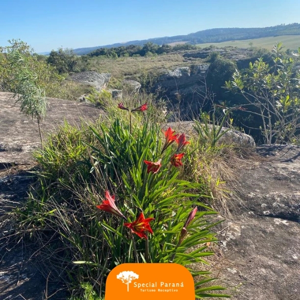 Buraco do Padre e Furnas do Passo do Pupo - privativo - imagem 4