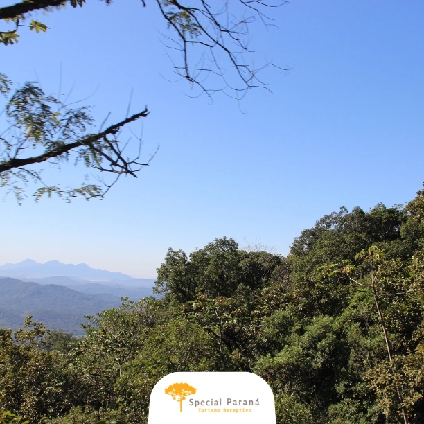 Circuito Curitiba Completíssima Solo - imagem 4