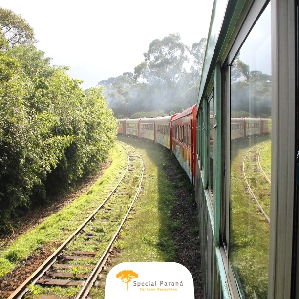 Passagem Volta Trem Turístico Morretes - Curitiba - imagem 4