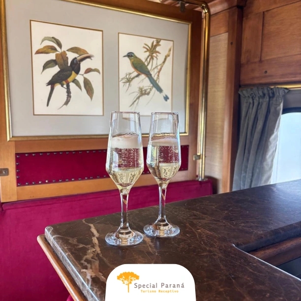 Trem de Luxo Pôr do Sol Completo - imagem 5