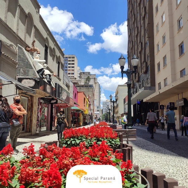 Caminhando por Curitiba - privativo - imagem 3