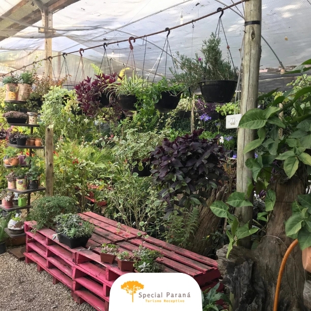 Caminho do Vinho - privativo - imagem 2