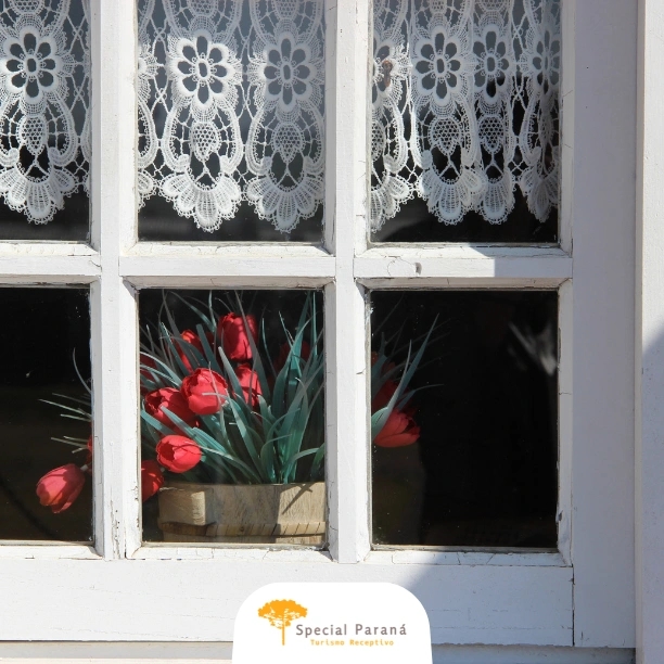 Colônias Holandesas - privativo - imagem 4