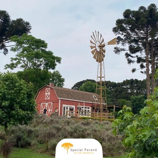 Vila Velha e Witmarsum - privativo - imagem 5