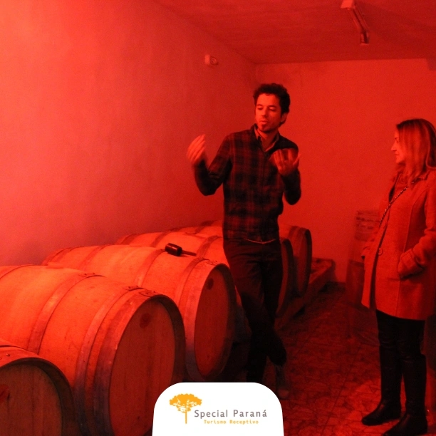 Vinícola Araucária - privativo - imagem 5