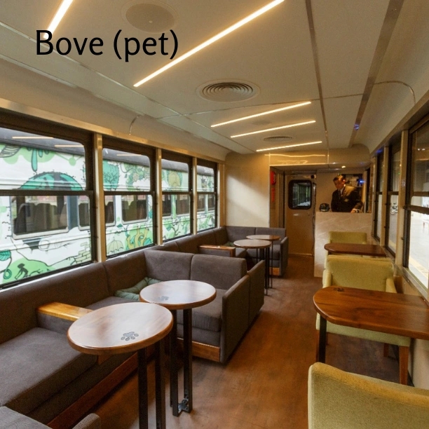 Trem Pôr do Sol Boutique Simples - imagem 4