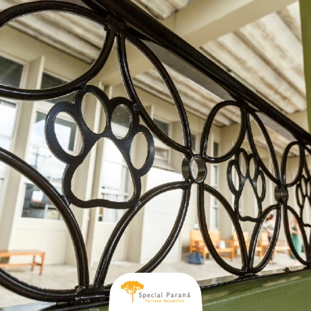 Trem Passeio Bove / Pet - imagem 3