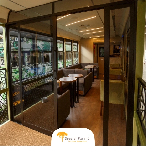 Trem Passeio Bove / Pet - imagem 5