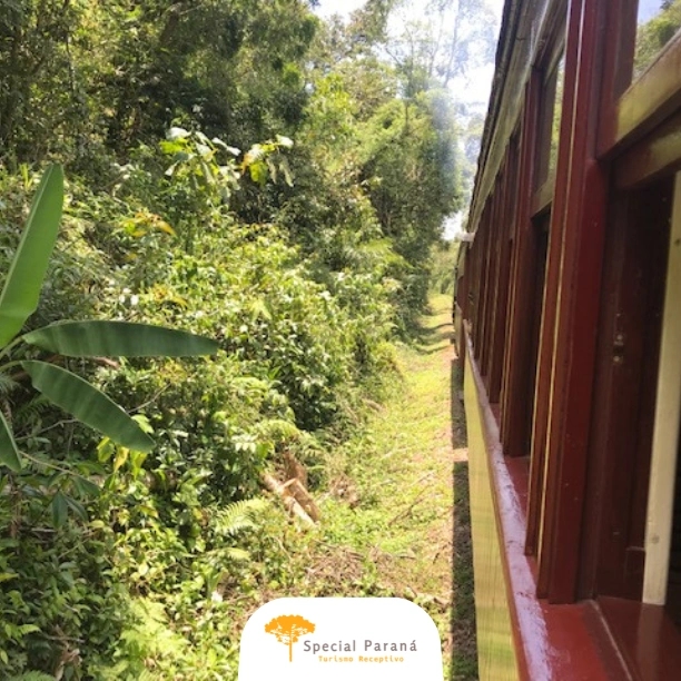 Maria Fumaça Antonina / Morretes - saída às 14h00 - imagem 4