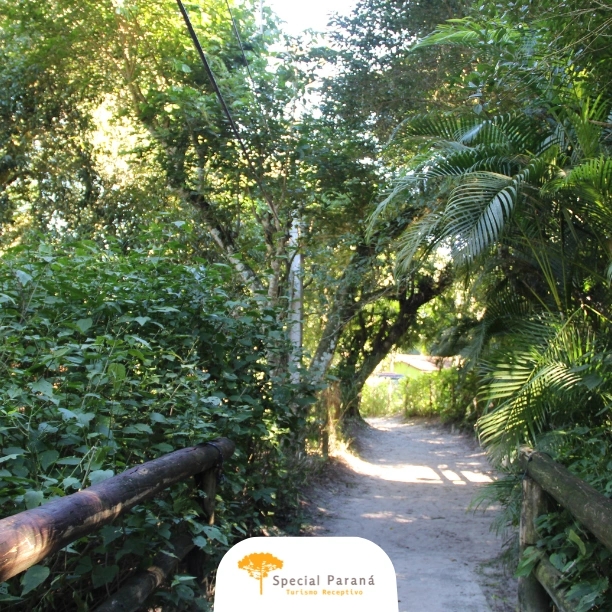 Curitiba Essencial e Ilha do Mel - imagem 3