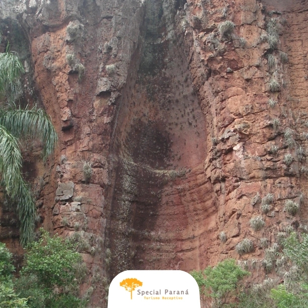 Curitiba Essencial e Vila Velha - imagem 4