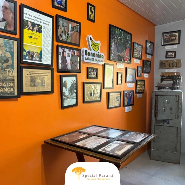 Trem Passeio Turístico SEM ALMOÇO - imagem 5