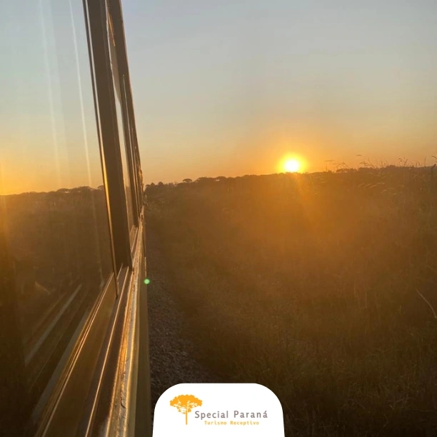 Trem Pôr do Sol Turístico SEM ALMOÇO - imagem 3